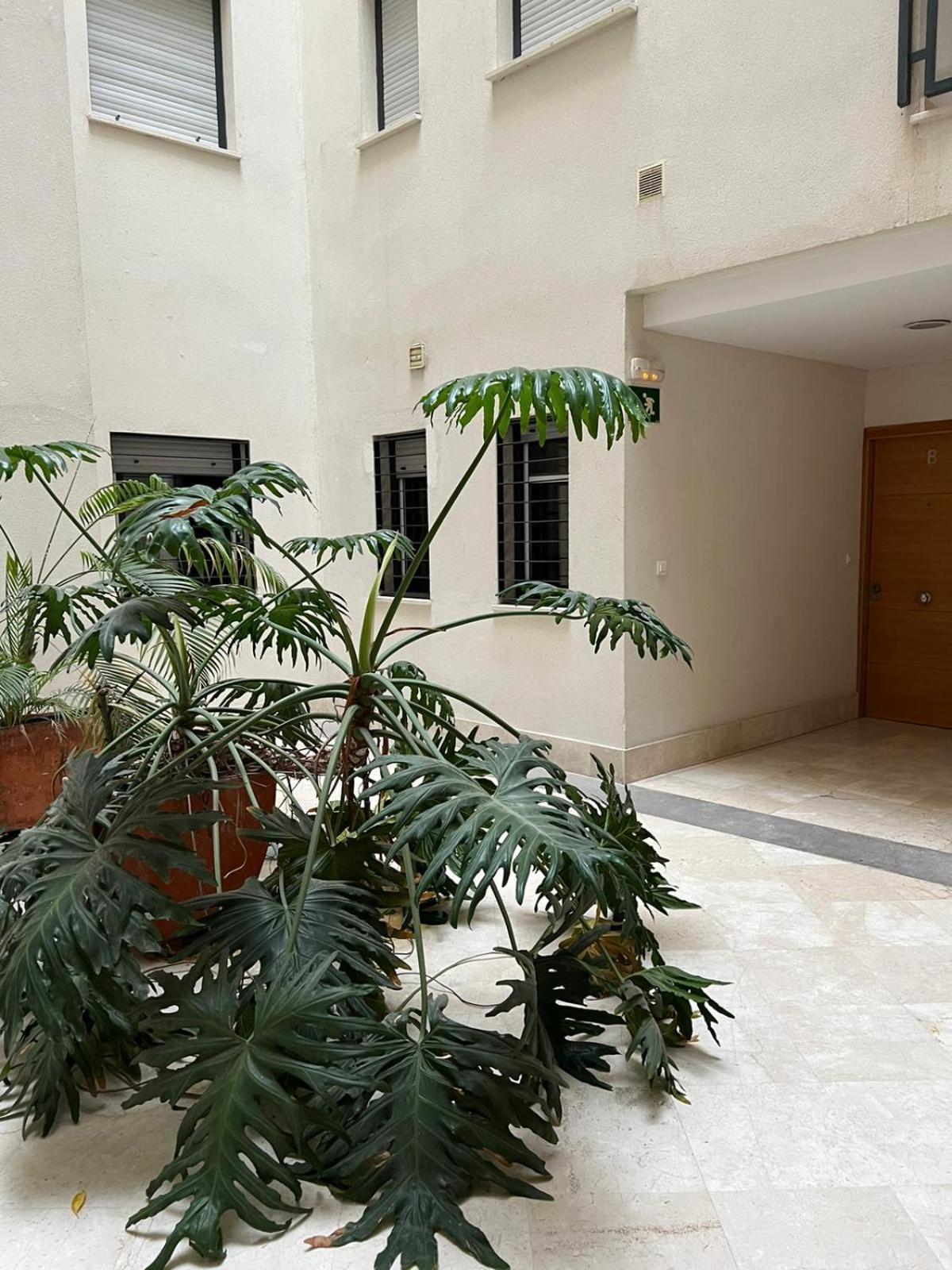 Habitaciones Privadas En Apartamento Compartido Альхесирас Экстерьер фото